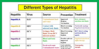 Hepatitis What Is It Types, Symptoms, Causes, and More