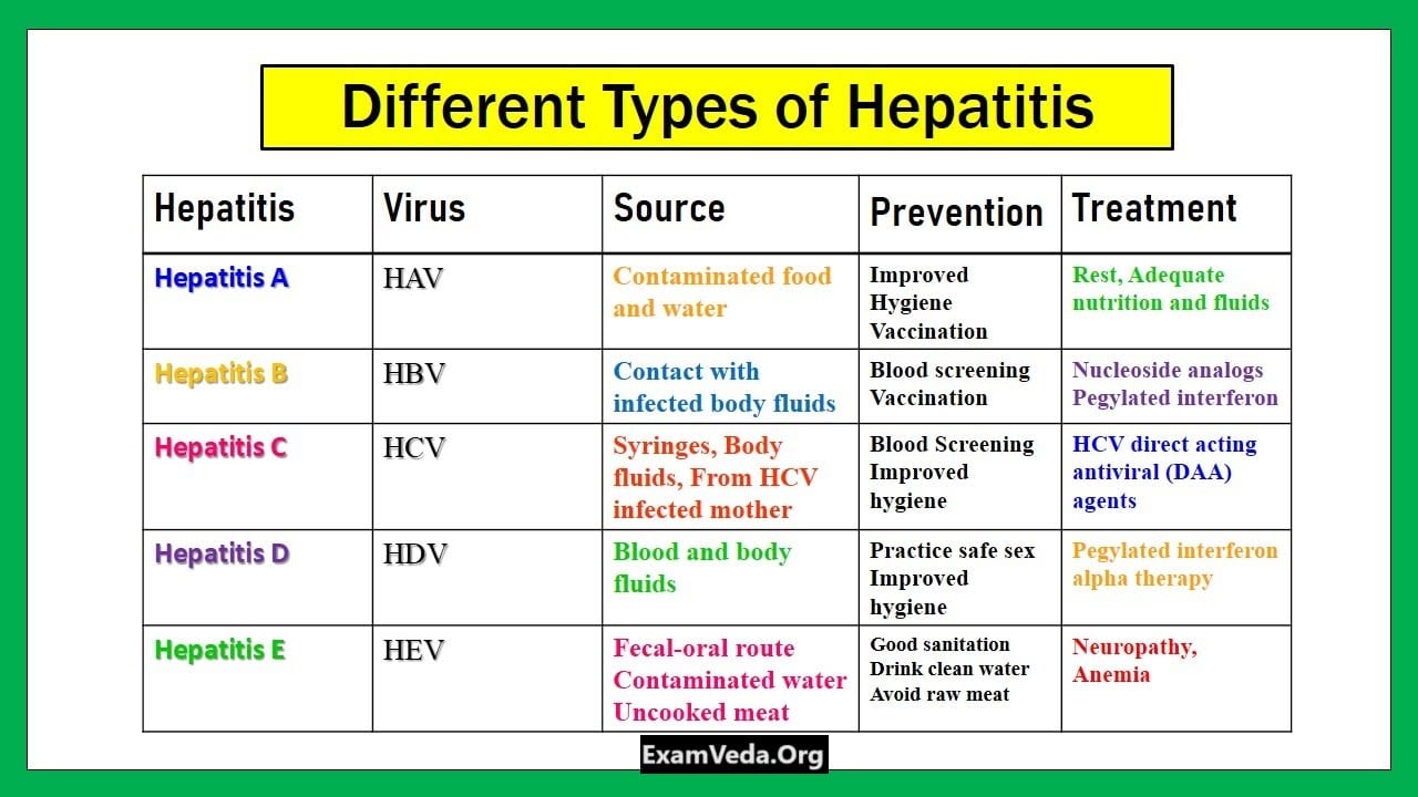 Hepatitis What Is It Types, Symptoms, Causes, and More