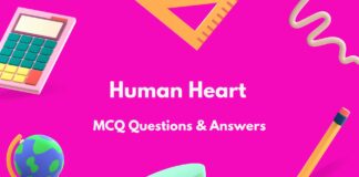 Human Heart MCQ Questions and Answers