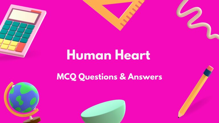 Human Heart MCQ Questions and Answers