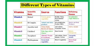 Types of Vitamins - Classifications and Function of Vitamins