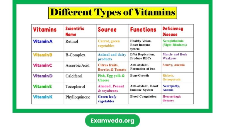 Types of Vitamins - Classifications and Function of Vitamins